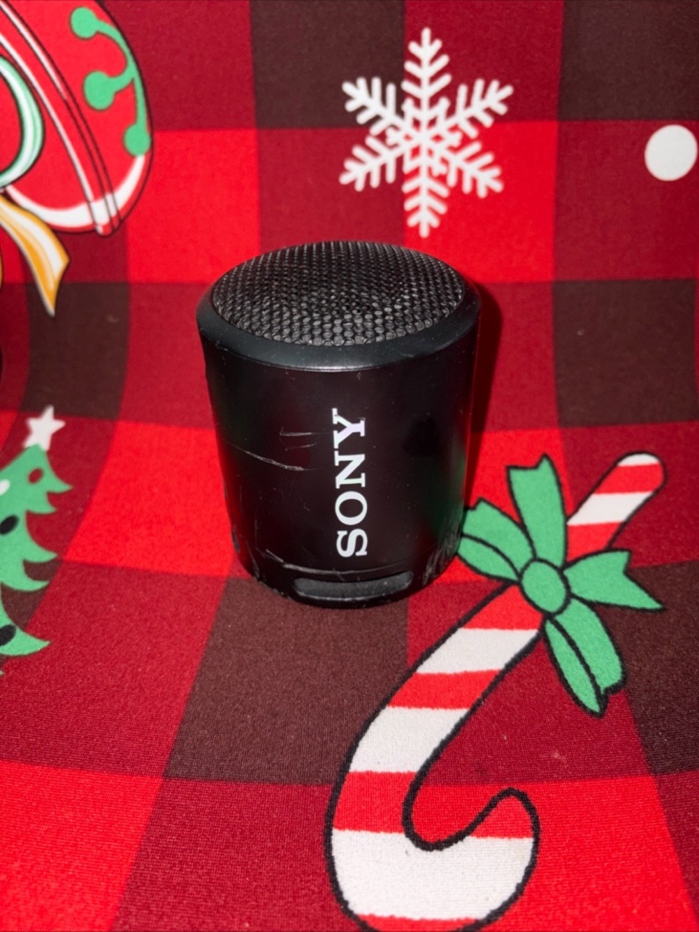 2 WATER-RESISTANT SONY SRS-XB13 PORTABLE BLUETOOTH  / EXTRA-BASS SPEAKER